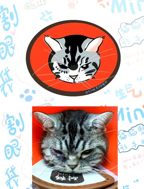 猫咪流红色眼泪,猫咪流红色眼泪正常吗-第1张图片-后鲨宠物 猫咪流红色眼泪,猫咪流红色眼泪正常吗-第1张图片-后鲨宠物