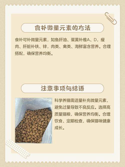  猫咪营养不良怎么办，猫咪营养不良应该吃什么