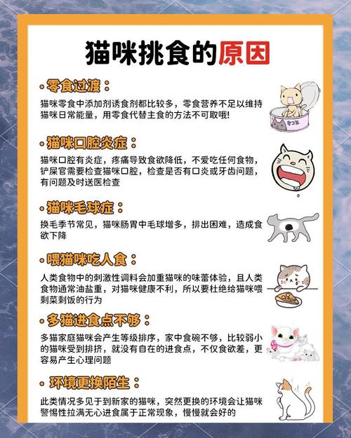  猫咪营养不良怎么办，猫咪营养不良应该吃什么-第2张图片-后鲨宠物