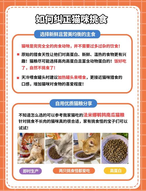  猫咪营养不良怎么办，猫咪营养不良应该吃什么-第5张图片-后鲨宠物