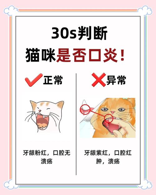 猫咪上火的表现_猫咪上火的表现图片-第5张图片-后鲨宠物 猫咪上火的表现_猫咪上火的表现图片-第5张图片-后鲨宠物
