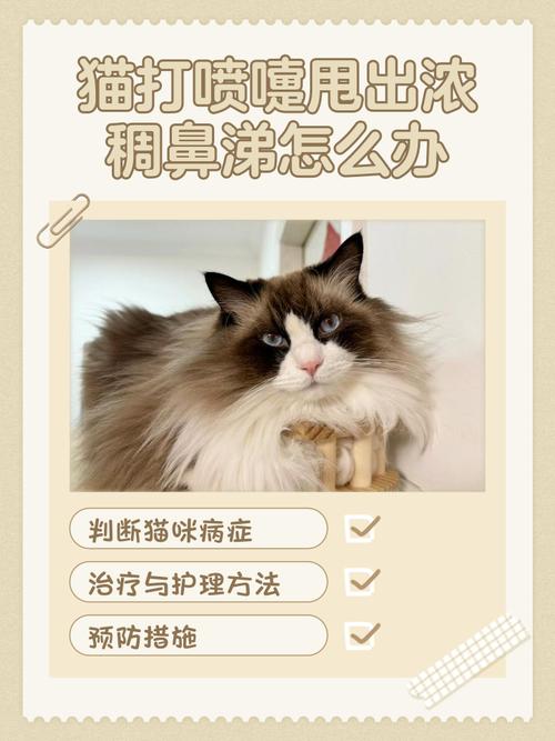 猫咪频繁打喷嚏_猫咪频繁打喷嚏但是不流鼻涕