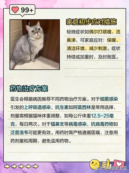 猫咪频繁打喷嚏_猫咪频繁打喷嚏但是不流鼻涕-第4张图片-后鲨宠物 猫咪频繁打喷嚏_猫咪频繁打喷嚏但是不流鼻涕-第4张图片-后鲨宠物