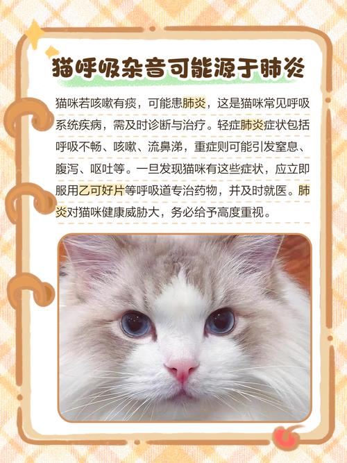 猫咪呼吸声很重_猫咪呼吸声很重正常吗-第4张图片-后鲨宠物