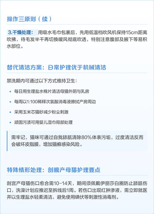  猫咪生产后多久能洗澡，猫咪生产后什么时候可以洗澡-第4张图片-后鲨宠物