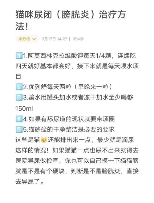 猫咪尿路感染能自愈吗,猫咪尿路感染多少钱能治好-第3张图片-后鲨宠物 猫咪尿路感染能自愈吗,猫咪尿路感染多少钱能治好-第3张图片-后鲨宠物