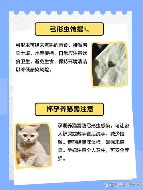 猫咪弓形虫怎么传染给人,猫咪弓形虫如何传染给人?-第5张图片-后鲨宠物 猫咪弓形虫怎么传染给人,猫咪弓形虫如何传染给人?-第5张图片-后鲨宠物
