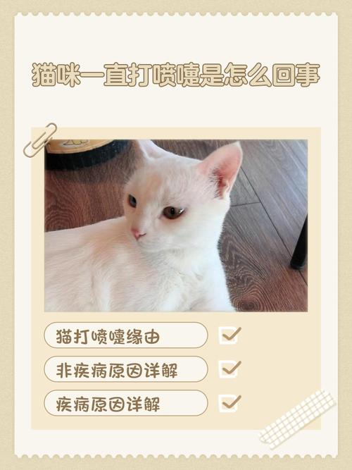猫咪经常打喷嚏_猫咪经常打喷嚏还有脓鼻涕-第6张图片-后鲨宠物 猫咪经常打喷嚏_猫咪经常打喷嚏还有脓鼻涕-第6张图片-后鲨宠物