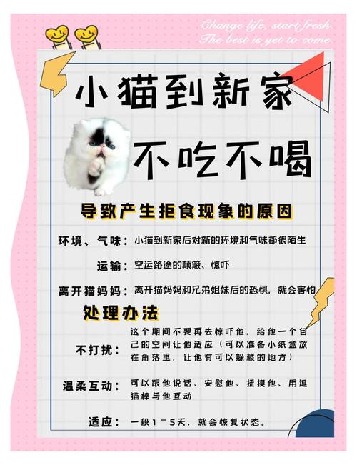 猫咪不吃不喝怎么办,猫咪不吃不喝怎么办也没精神 大冬天的就这样趴在地上-第2张图片-后鲨宠物 猫咪不吃不喝怎么办,猫咪不吃不喝怎么办也没精神 大冬天的就这样趴在地上-第2张图片-后鲨宠物