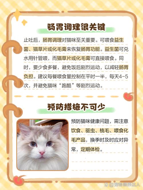 猫咪不吃不喝怎么办,猫咪不吃不喝怎么办也没精神 大冬天的就这样趴在地上-第3张图片-后鲨宠物 猫咪不吃不喝怎么办,猫咪不吃不喝怎么办也没精神 大冬天的就这样趴在地上-第3张图片-后鲨宠物