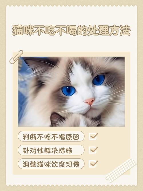 猫咪不吃不喝怎么办,猫咪不吃不喝怎么办也没精神 大冬天的就这样趴在地上-第5张图片-后鲨宠物 猫咪不吃不喝怎么办,猫咪不吃不喝怎么办也没精神 大冬天的就这样趴在地上-第5张图片-后鲨宠物