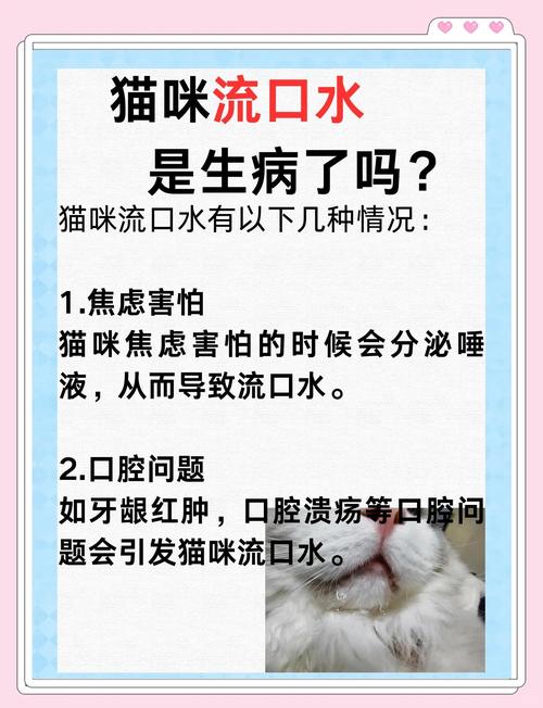 猫咪睡觉流口水_猫嘴边挂粘稠的口水