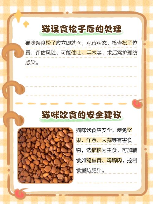 猫咪能吃松子吗,猫咪能吃松子吗有毒吗?-第2张图片-后鲨宠物 猫咪能吃松子吗,猫咪能吃松子吗有毒吗?-第2张图片-后鲨宠物