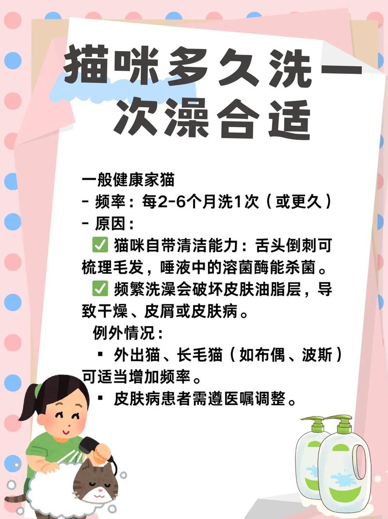 小猫咪多大可以洗澡,小猫咪多大洗澡比较好?-第3张图片-后鲨宠物 小猫咪多大可以洗澡,小猫咪多大洗澡比较好?-第3张图片-后鲨宠物