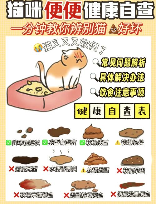 猫咪一天拉几次屎,猫咪频繁上猫厕但是没有便便?-第1张图片-后鲨宠物 猫咪一天拉几次屎,猫咪频繁上猫厕但是没有便便?-第1张图片-后鲨宠物