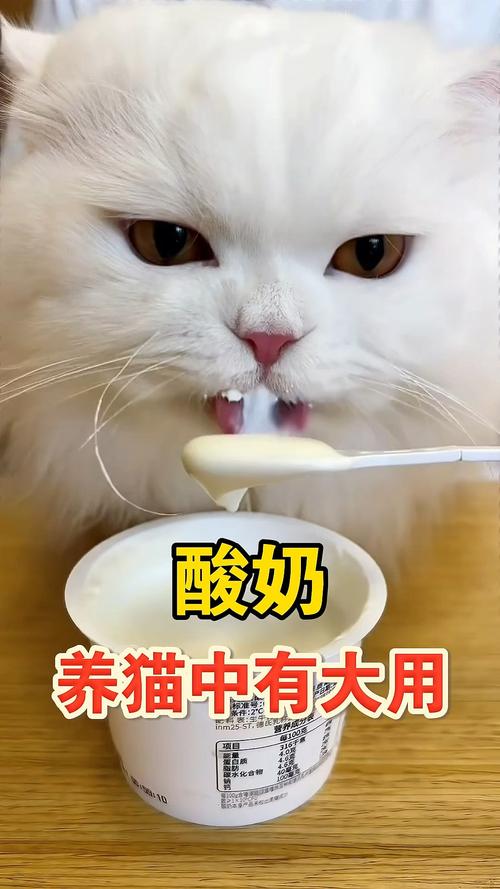 猫咪能不能喝酸奶,猫咪能否喝酸奶?-第5张图片-后鲨宠物 猫咪能不能喝酸奶,猫咪能否喝酸奶?-第5张图片-后鲨宠物