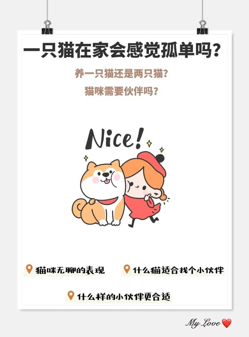 猫咪需要玩伴吗，猫咪需要陪她玩吗？-第2张图片-后鲨宠物