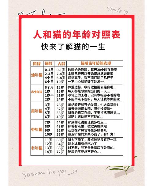 猫咪一年是几岁_猫年龄对照表012岁-第4张图片-后鲨宠物 猫咪一年是几岁_猫年龄对照表012岁-第4张图片-后鲨宠物