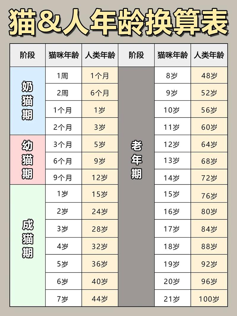 猫咪一年是几岁_猫年龄对照表012岁-第5张图片-后鲨宠物 猫咪一年是几岁_猫年龄对照表012岁-第5张图片-后鲨宠物