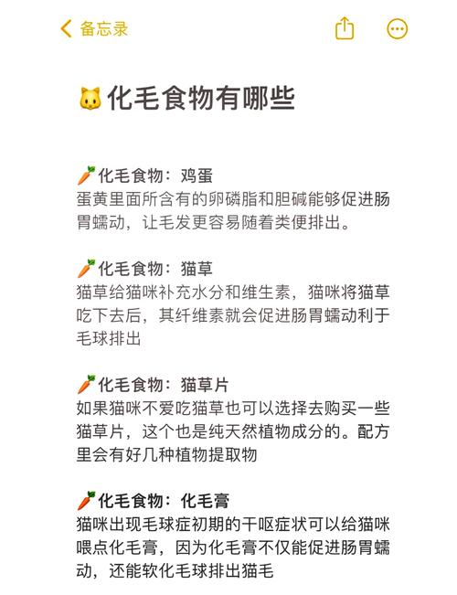 猫咪毛球症怎么治疗比较好_猫咪毛球症如何治疗-第2张图片-后鲨宠物 猫咪毛球症怎么治疗比较好_猫咪毛球症如何治疗-第2张图片-后鲨宠物