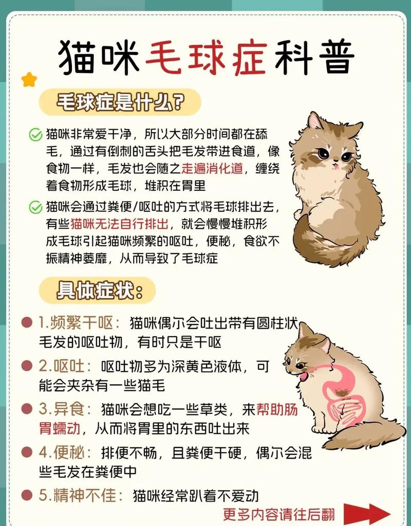 猫咪毛球症怎么治疗比较好_猫咪毛球症如何治疗-第4张图片-后鲨宠物 猫咪毛球症怎么治疗比较好_猫咪毛球症如何治疗-第4张图片-后鲨宠物