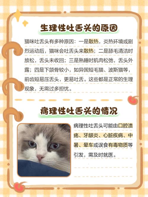 猫咪睡觉吐舌头,猫咪睡觉吐舌头翻白眼?-第4张图片-后鲨宠物 猫咪睡觉吐舌头,猫咪睡觉吐舌头翻白眼?-第4张图片-后鲨宠物