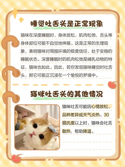 猫咪睡觉吐舌头,猫咪睡觉吐舌头翻白眼?-第5张图片-后鲨宠物 猫咪睡觉吐舌头,猫咪睡觉吐舌头翻白眼?-第5张图片-后鲨宠物